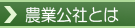 ���ȸ��ҤȤ�